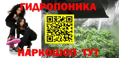 ПСИЛОЦИБИНОВЫЕ ГРИБЫ Кулебаки