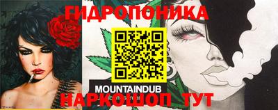 ПСИЛОЦИБИНОВЫЕ ГРИБЫ Кулебаки