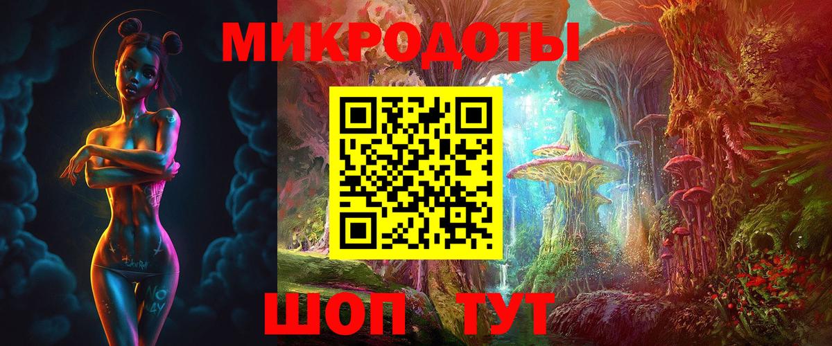Псилоцибиновые грибы Cubensis Шахты