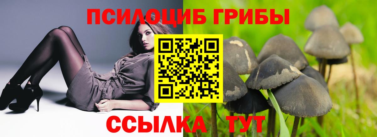 Шахты  Псилоцибиновые грибы мицелий  Вход с VPN 