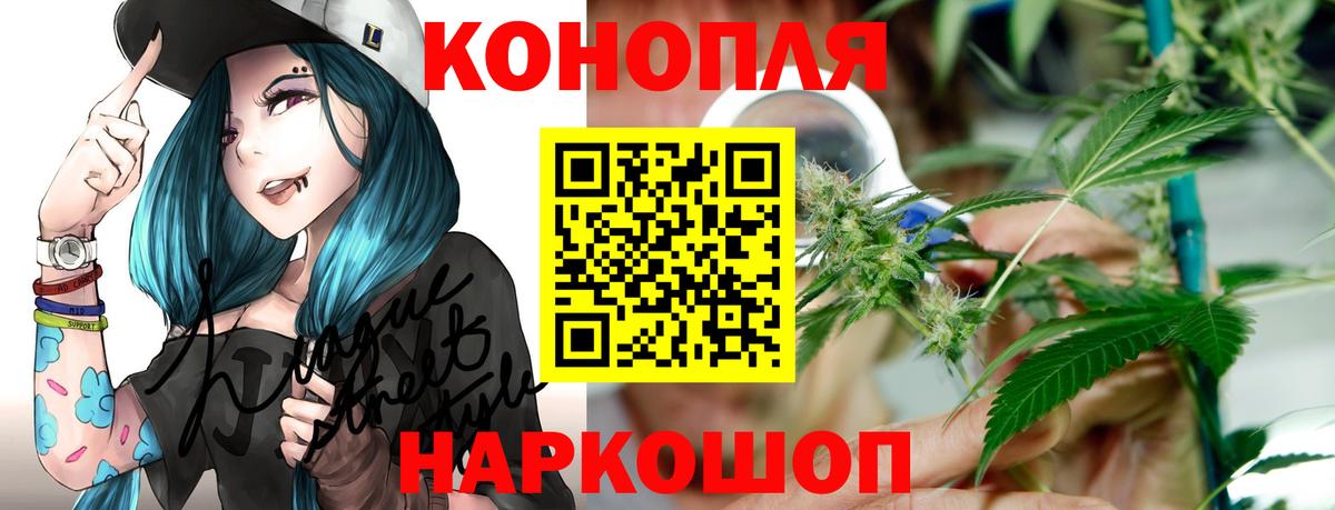 Каннабис сатива Шахты